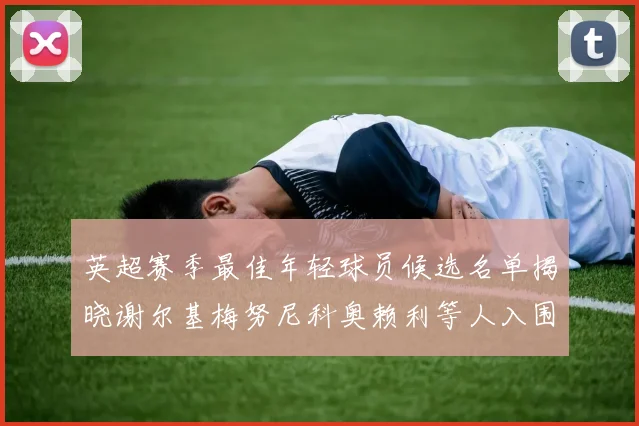 英超赛季最佳年轻球员候选名单揭晓谢尔基梅努尼科奥赖利等人入围